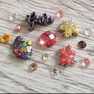 🦉Thanksgiving Charm Set